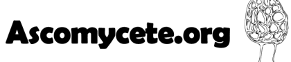 ascomycete.org